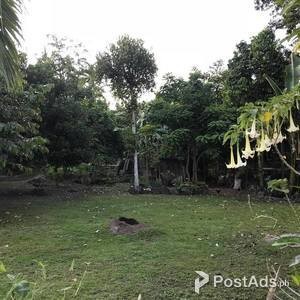 Lot For Sale in Valencia: 1834 sq.m. | PostAds PH