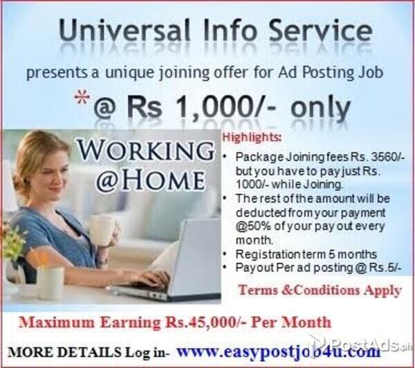 Begin your Online Employment Opportunity 
