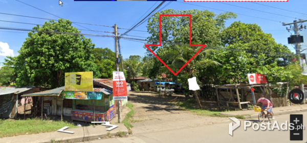 Commercial Lot for sale in Gun-ob Lapulapu City