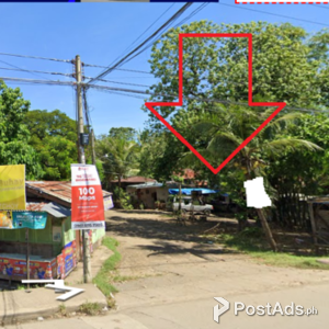 Commercial Lot for sale in Gun-ob Lapulapu City | PostAds PH