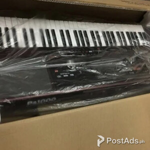 Korg Pa1000 61-key Professional Arranger | PostAds PH