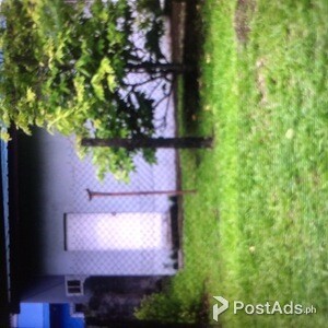 room for rent at sta.clara subd. bacolod city | PostAds PH