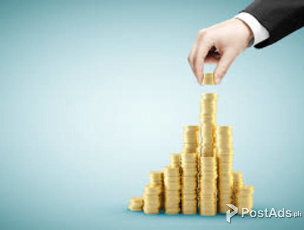 Inverstor looking for Business Partners in Philipines