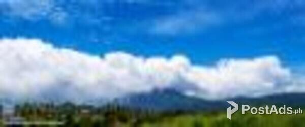 EVERGREEN ESTATES