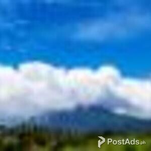 EVERGREEN ESTATES | PostAds PH