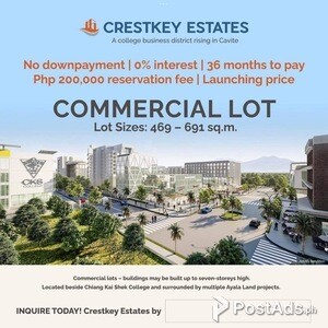 COMMERCIAL LOT FOR SALE | PostAds PH