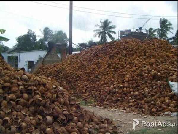 GRANULAR ACTIVATED CARBON( GAC ) COCONUT SHELL  FOR WATER PURIFICATION