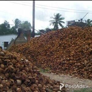 GRANULAR ACTIVATED CARBON( GAC ) COCONUT SHELL FOR WATER PURIFICATION | PostAds PH