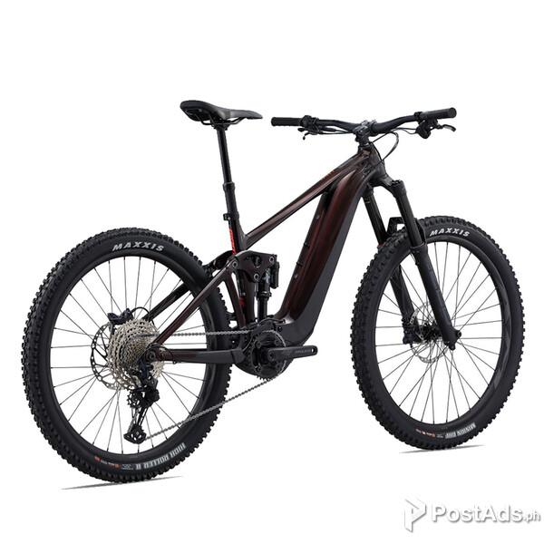 2023 Giant REIGN E+ 2 Mountain Bike (DREAMBIKESHOP)