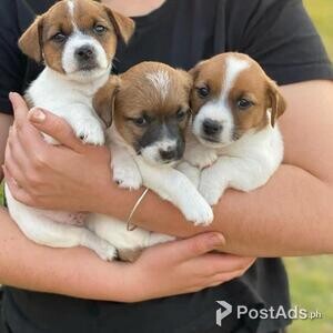 jackRessull | PostAds PH