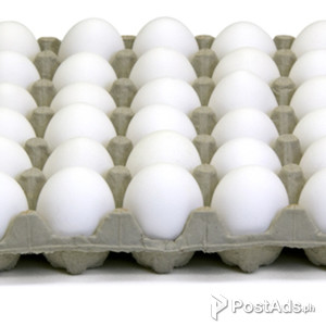 Eggs per tray 30 pieces | PostAds PH