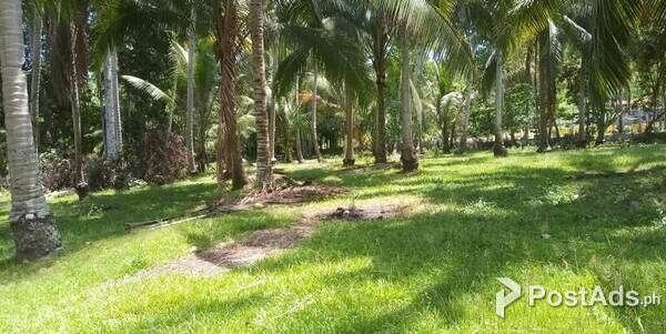 lot for sale libuac, Babak, Isaland Garden City of Samal