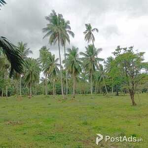 LAND FOR SALE IN PAGSANJAN LAGUNA PHILIPPINES!!! | PostAds PH