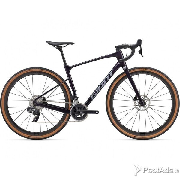 2023 Giant Revolt Advanced Pro 1 (BIKOTIQUE)