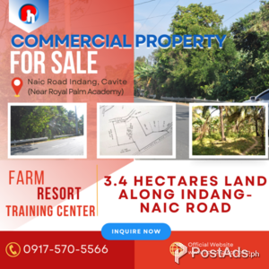 LOT FOR SALE 3.4 ha along Naic Road nr Royal Palm 30min to Tagaytay | PostAds PH