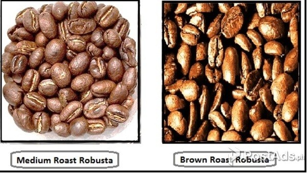 Roasted Robusta Beans