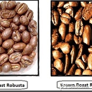Roasted Robusta Beans | PostAds PH