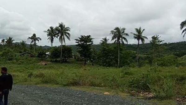 For Sale 5 Has In San Andres, Quezon @200 per sqm