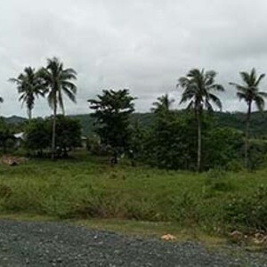 For Sale 5 Has In San Andres, Quezon @200 per sqm | PostAds PH