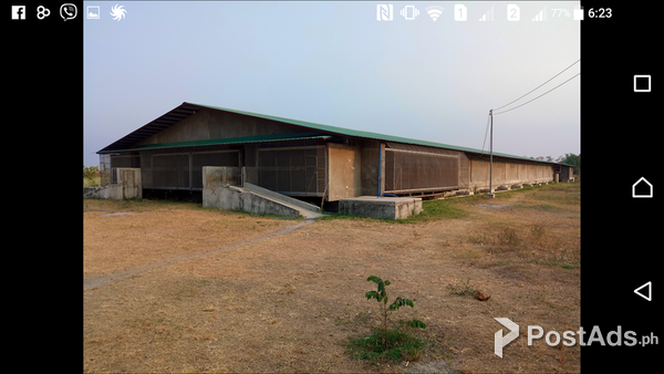 RUSH! RUSH! BUSINESS/PROPERTY FOR SALE