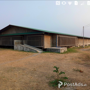 RUSH! RUSH! BUSINESS/PROPERTY FOR SALE | PostAds PH