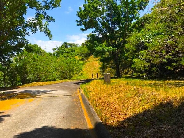 Lot for sale in CANYOON WOODS Tagaytay