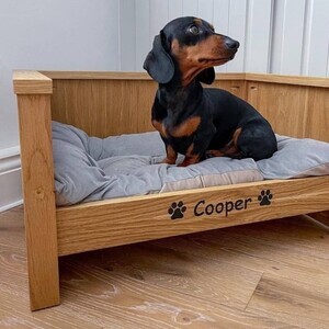 Miniature Dachshund puppies | PostAds PH
