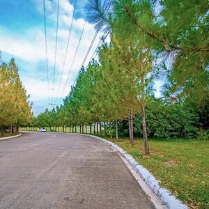 AFFORDABLE HOUSE AND LOT CEBU @ CAMELLA RIVERFRONT 09177925457 | PostAds PH