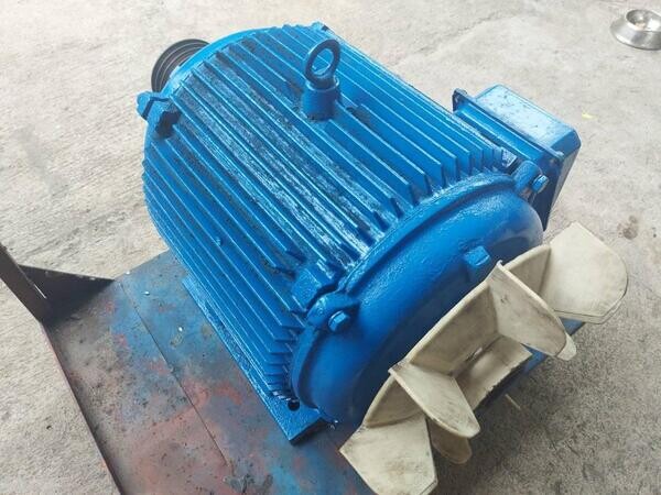 Induction Motor Rewinding 