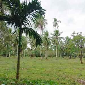 Agricultural Land for SALE in Pagsanjan Laguna!!!! | PostAds PH