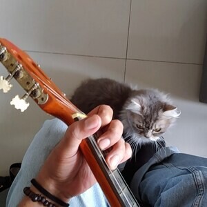 Guitar Lessons Manila | PostAds PH