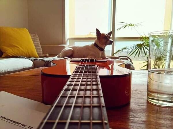 ukulele and guitar lessons BGC the fort