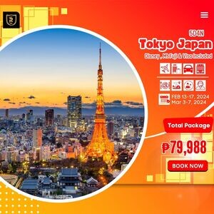 5D4N TOKYO JAPAN WITH DISNEY AND MT. FUJI + AIRFARE (VISA INCLUDED) | PostAds PH