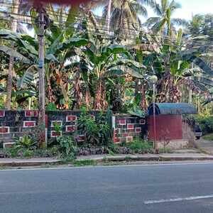 Agricultural Land Properties for Sale | PostAds PH
