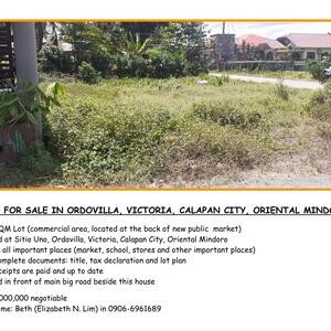 LOT FOR SALE IN ORDOVILLA, VICTORIA, CALAPAN CITY, ORIENTAL MINDORO | PostAds PH