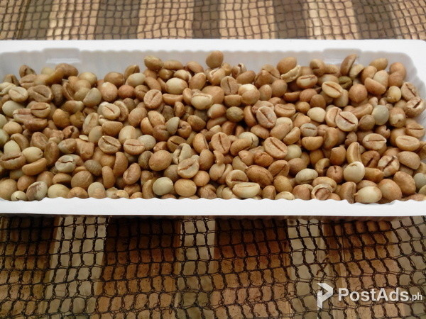 Robusta Green Beans