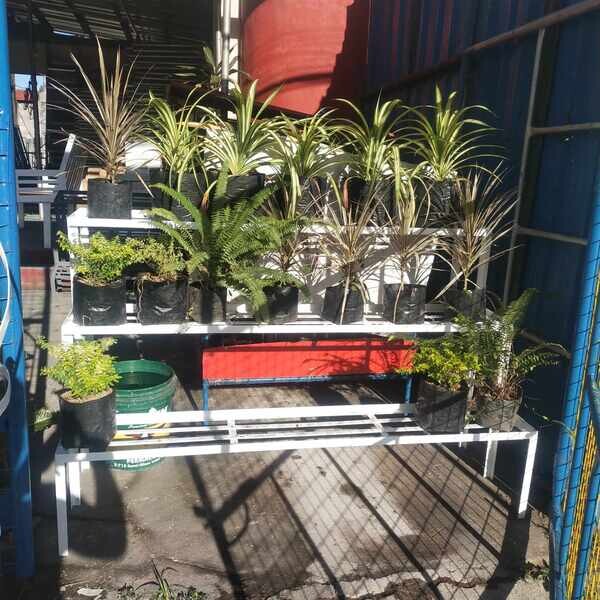 plant racks