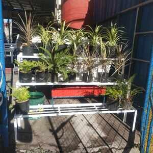 plant racks | PostAds PH