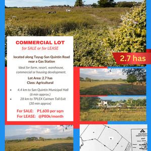 PANGASINAN Commercial Lot FOR SALE or FOR LEASE | PostAds PH