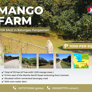 Mango Farm for Sale in Balungao Pangasinan | PostAds PH