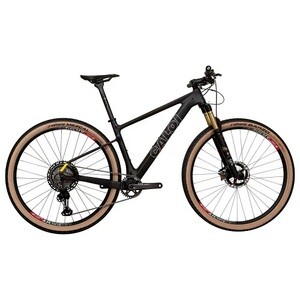 2025 Caloi ELITE CARBON TEAM Mountain Bike (GUN2BIKESHOP) | PostAds PH