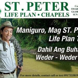 St. Peter Sales Agents (Wanted) | PostAds PH