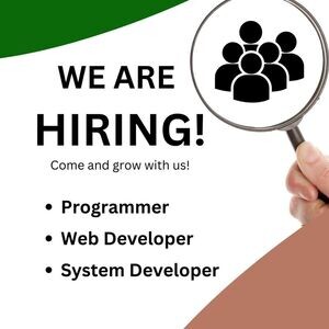 FUnctional Consultant | System Analyst | PostAds PH