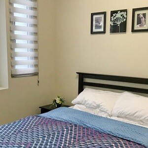 1BR Furnished One Palm Tree Villa near NAIA 3 | PostAds PH