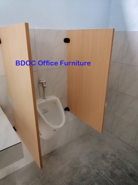 Customized Toilet and Urinal Partition 