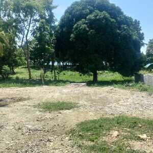 5087 SQM Beach Property in Luyang San Remigio Cebu | PostAds PH