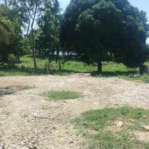 5087 SQM Beach Property in Luyang San Remigio Cebu | PostAds PH