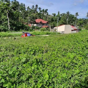 Subdivided Lots for Sale in Ligao Prestige Subdivision! | PostAds PH