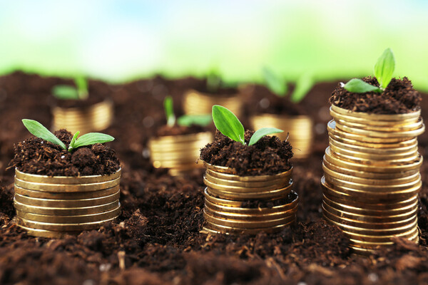 Looking For A Business Partner Joint Venture Partnership