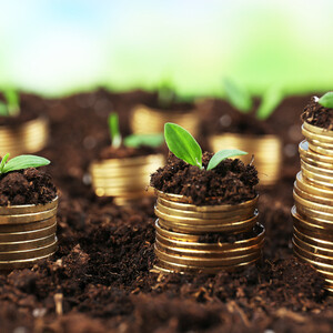Looking For A Business Partner Joint Venture Partnership | PostAds PH